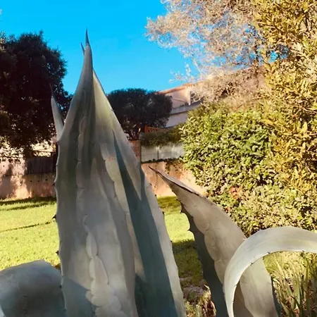 La Casa Palmito Moderne Cote דירה *