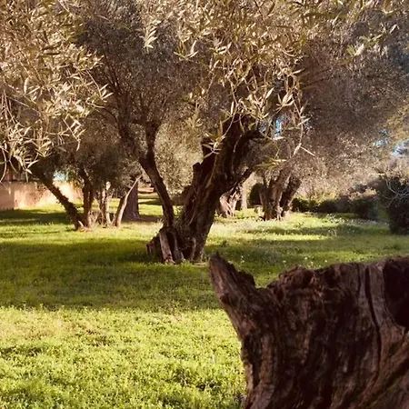 La Casa Palmito Moderne Cote * סן-סיר-סור-מר