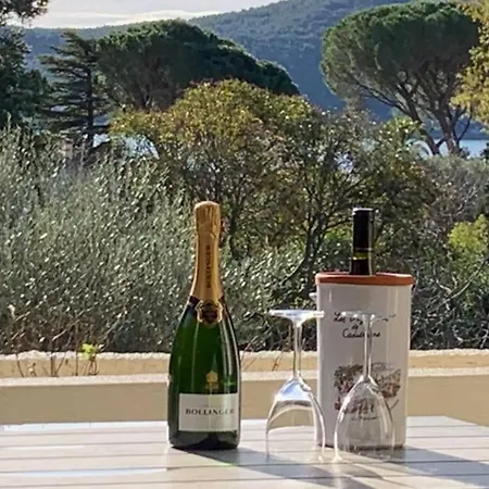 La Casa Palmito Moderne Cote * סן-סיר-סור-מר