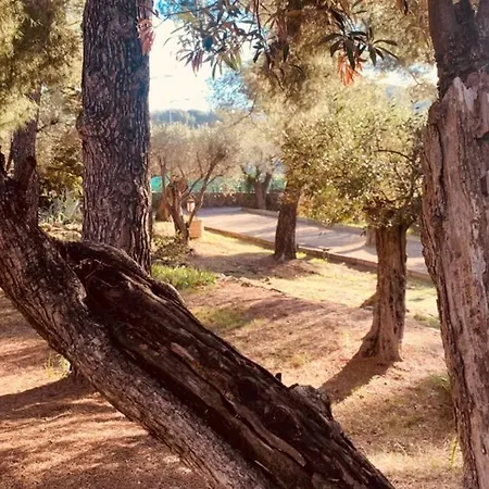 La Casa Palmito Moderne Cote *